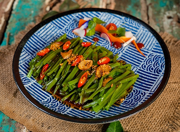 food-dish